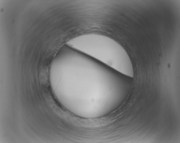 X0000052570030200507010856