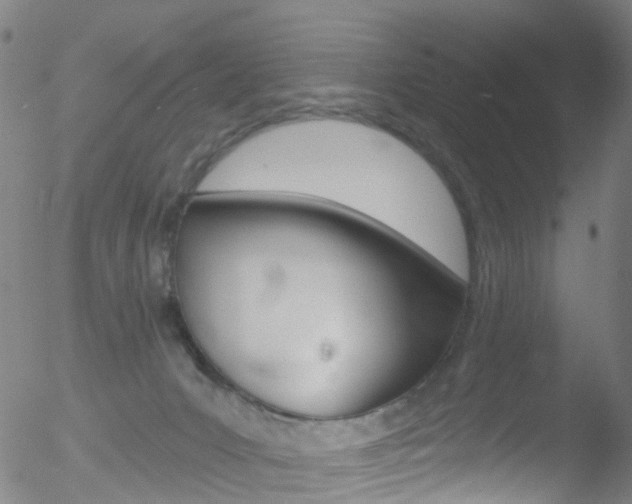 X0000052570031200507010856