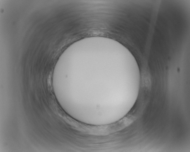 X0000052570032200507010856