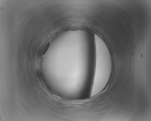 X0000052570033200507010856