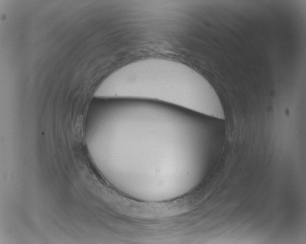 X0000052570034200507010856