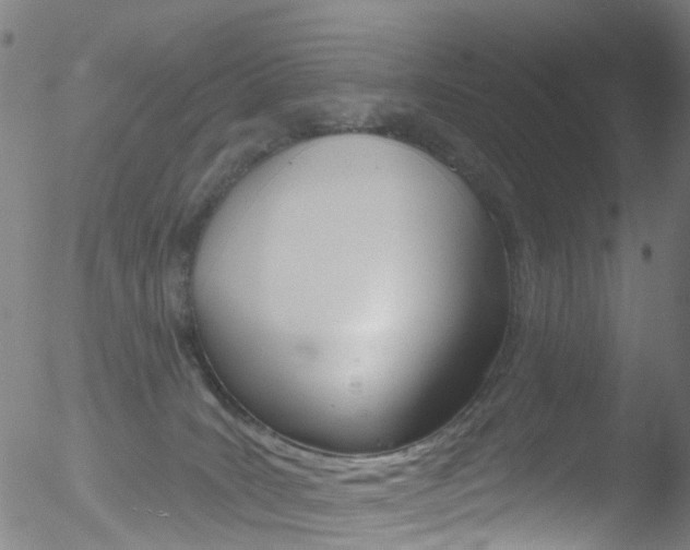 X0000052570035200507010856