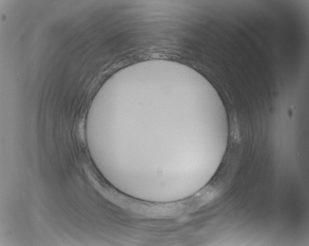 X0000052570036200507010856