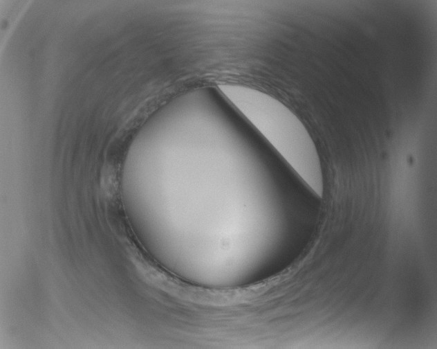 X0000052570037200507010856