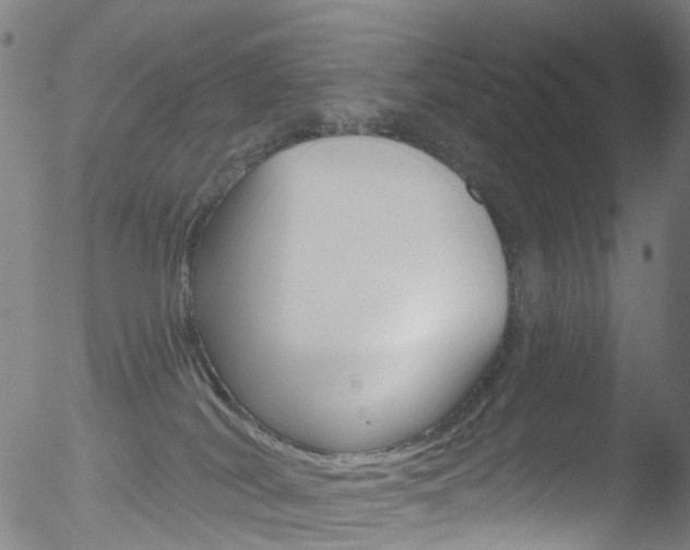 X0000052570038200507010856