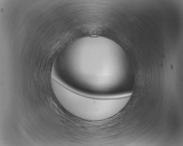 X0000052570039200507010856