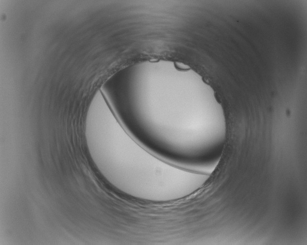 X0000052570040200507010856