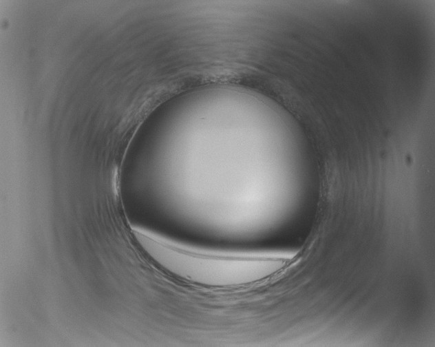 X0000052570041200507010856