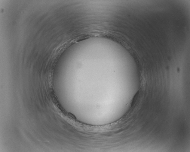 X0000052570043200507010856