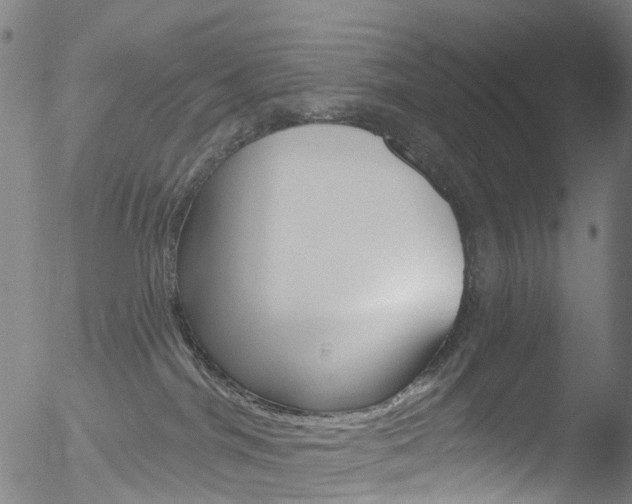 X0000052570044200507010856