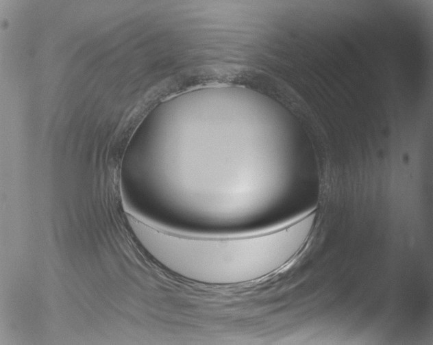 X0000052570045200507010856