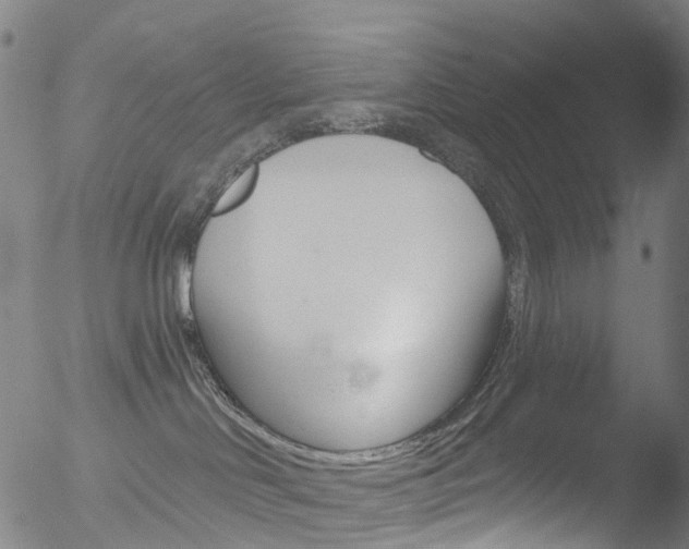 X0000052570046200507010856