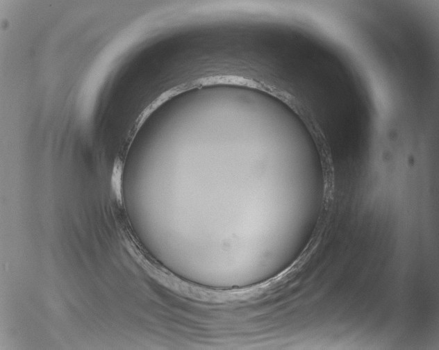 X0000052570047200507010856