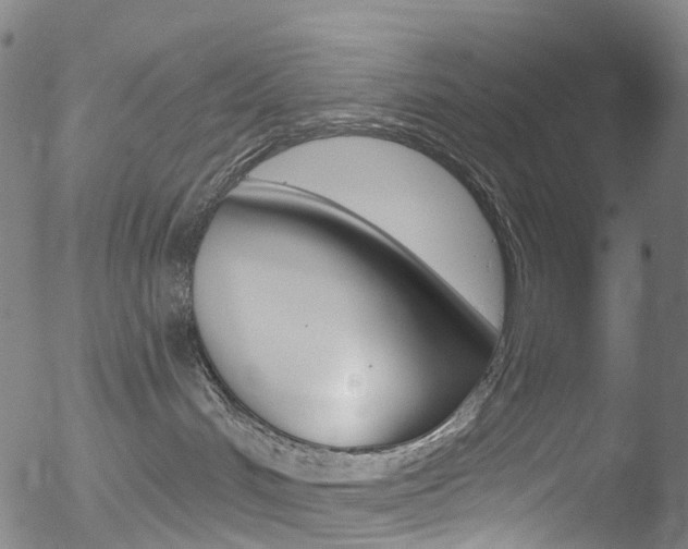 X0000052570048200507010856