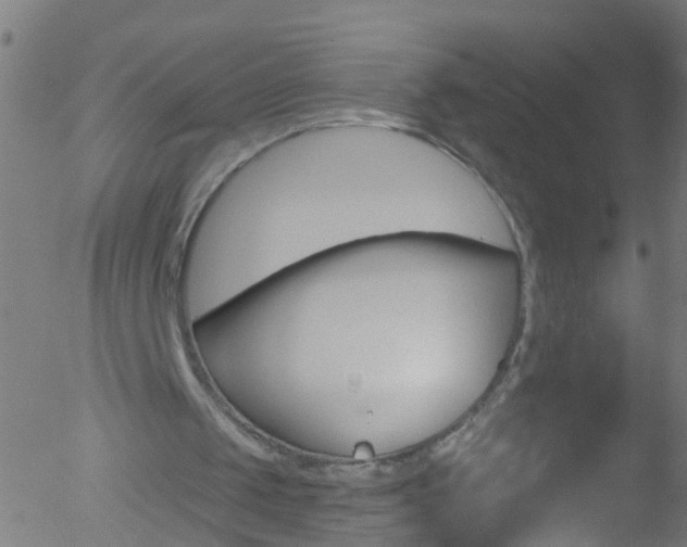 X0000052570049200507010855