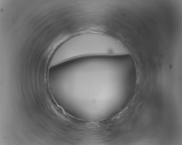 X0000052570050200507010855