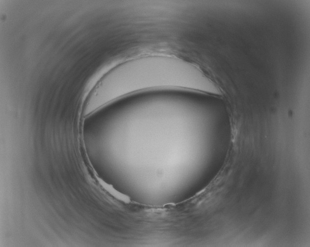 X0000052570052200507010855