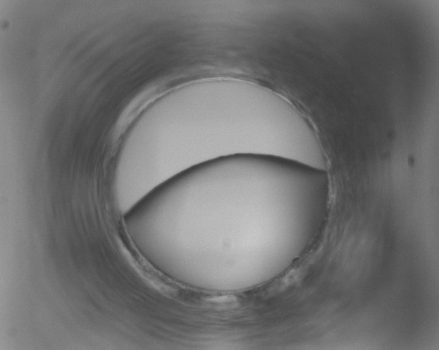 X0000052570053200507010855