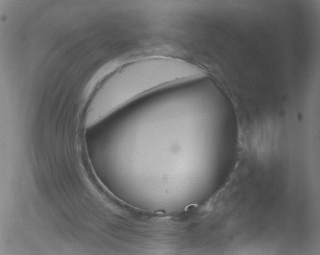 X0000052570054200507010855