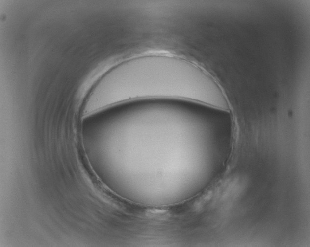 X0000052570055200507010855