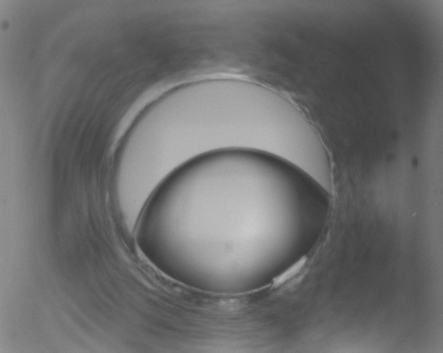 X0000052570056200507010855