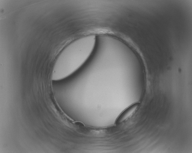 X0000052570057200507010855