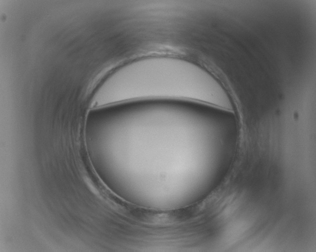 X0000052570058200507010855