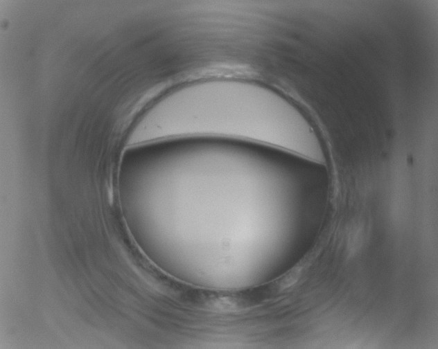 X0000052570062200507010855