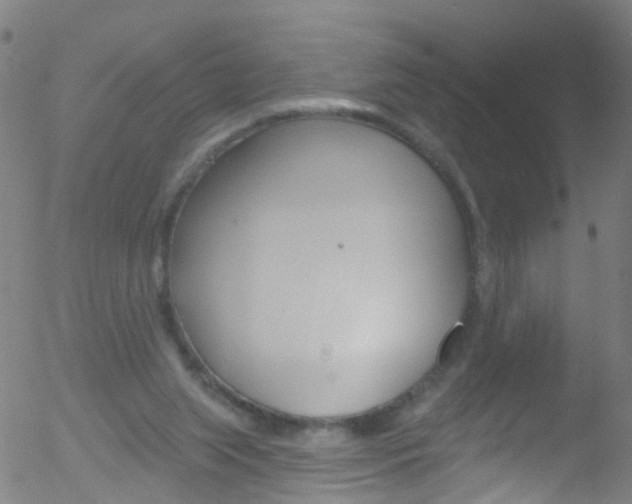 X0000052570063200507010855