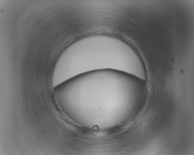 X0000052570065200507010855