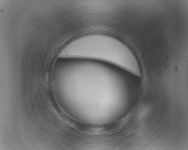 X0000052570066200507010855