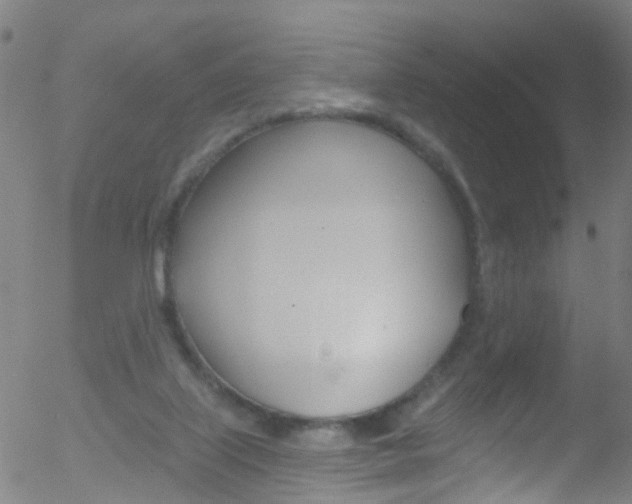 X0000052570067200507010855