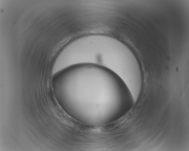 X0000052570068200507010855