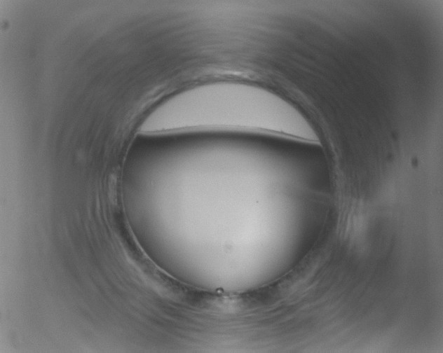 X0000052570071200507010855