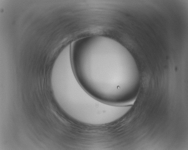 X0000052570072200507010855