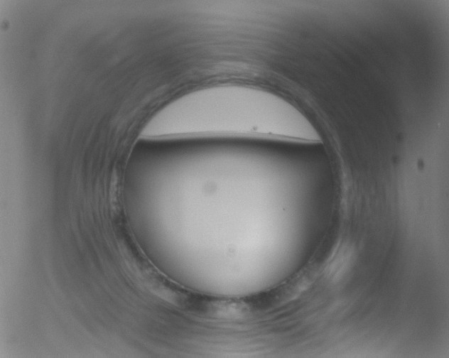 X0000052570073200507010855