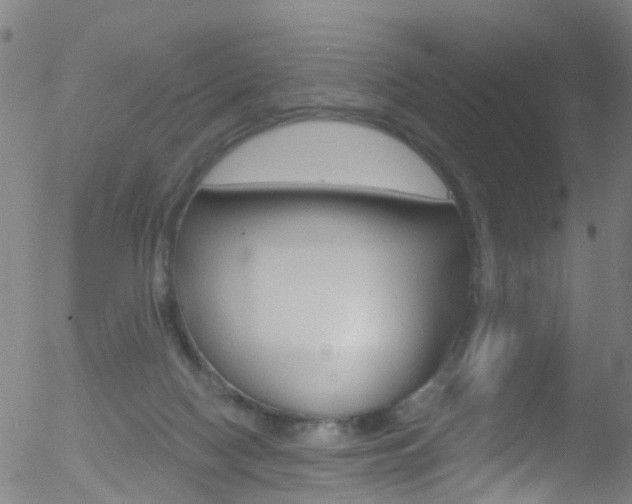 X0000052570074200507010855