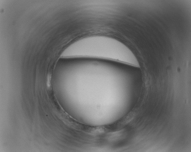 X0000052570075200507010855