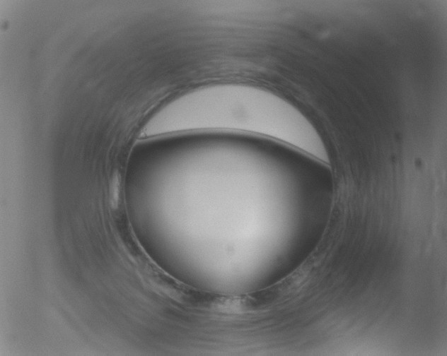 X0000052570076200507010855