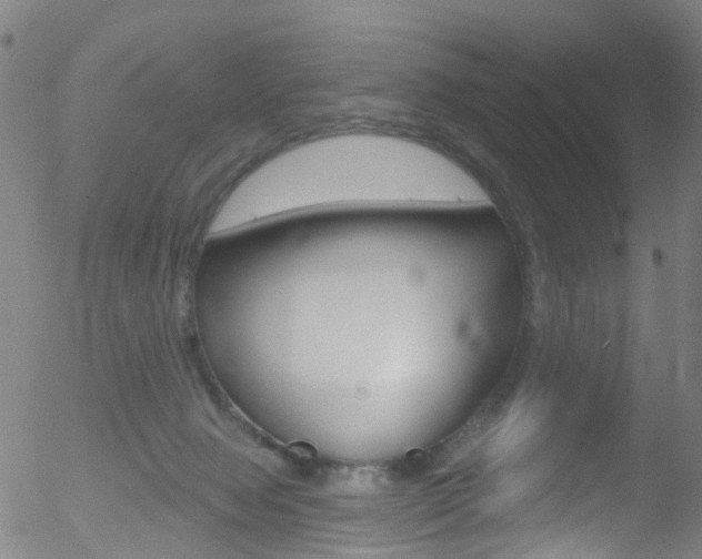 X0000052570077200507010855