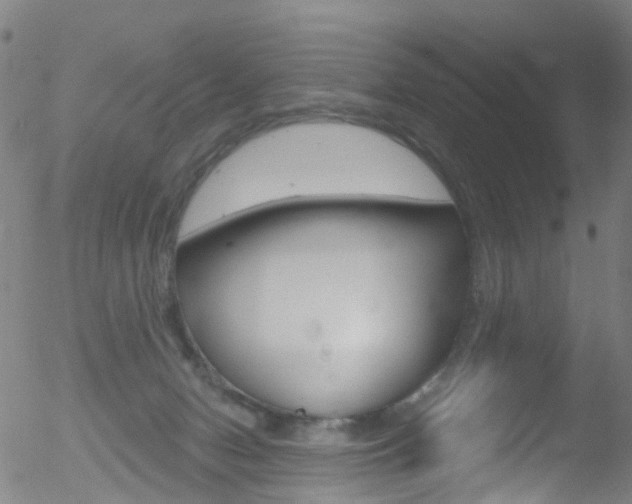 X0000052570078200507010855