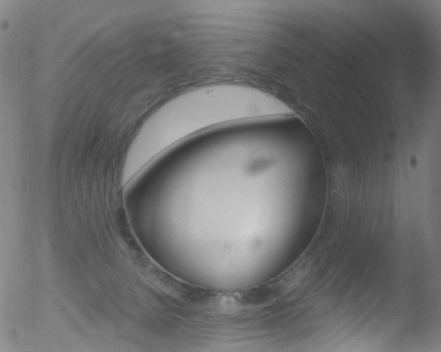 X0000052570080200507010855