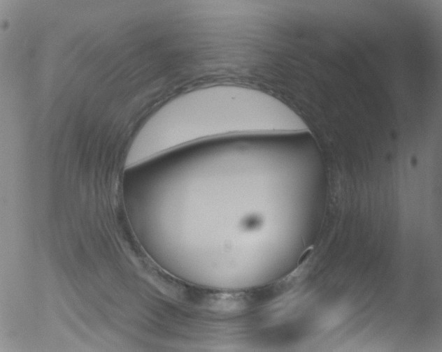 X0000052570082200507010855