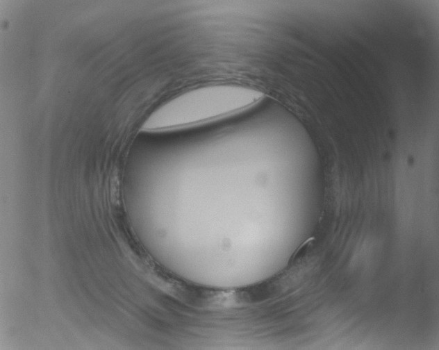 X0000052570083200507010855