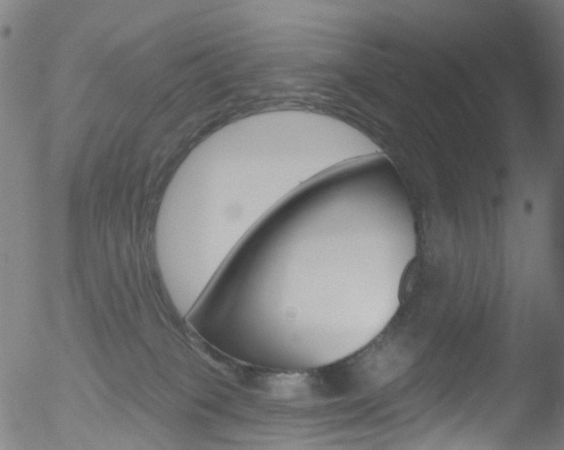 X0000052570085200507010855