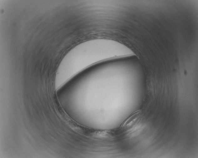 X0000052570086200507010855