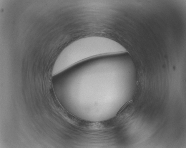 X0000052570087200507010855