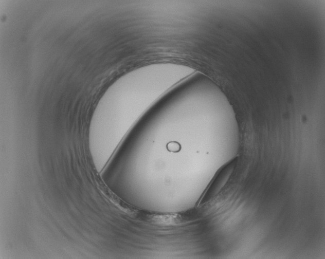 X0000052570089200507010855