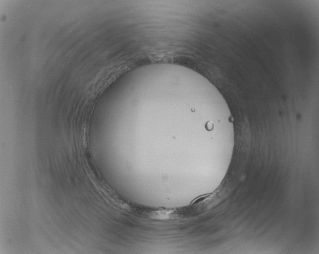 X0000052570090200507010855