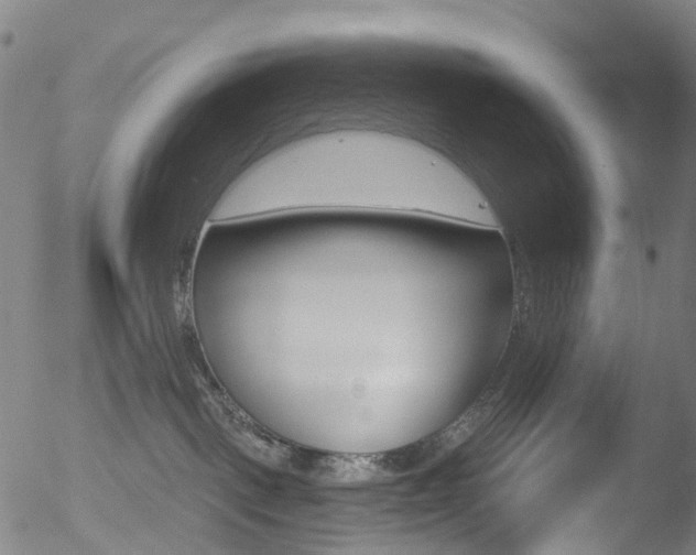 X0000052570093200507010855